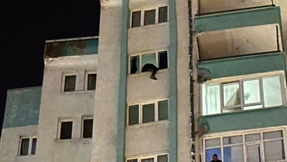 Kayseri'de 14. kattan indirilmesi 1 saat sürdü!
