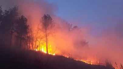 Hatay'daki orman yangını ekiplerin müdahalesiyle kontrol altına alındı