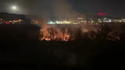 Kızılırmak Nehri kıyısında çıkan yangında 25 dönüm alan alevlere teslim oldu