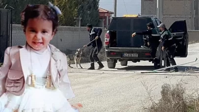 10 köpeğin saldırısı sonucu ölmüştü! Rana'nın otopsi raporu çıktı