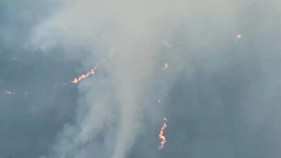 Balıkesir'de çıkan orman yangınına müdahale ediliyor