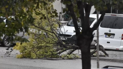 Denizli'de fırtına alarmı! Rüzgarın hızı 50-70km/s olacak!