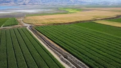 Çiftçilere 3,3 milyar lira destek ödemesi bugün hesaplarda!