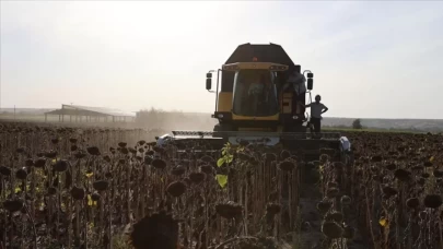Edirne geçen yıl en çok çeltik üretilen kent oldu