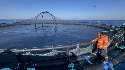 Adana’da denizde kafes balıkçılığı başladı, üretim 10 kat artacak