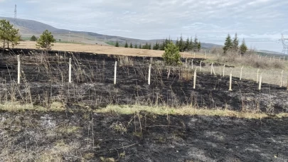 Çorum'da çıkan örtü yangını söndürüldü