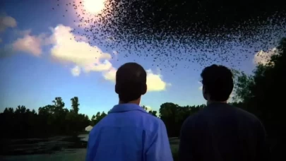 Kıyamet Teorisi Filminin Konusu ve Oyuncu Kadrosu