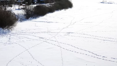 Kars ve Ardahan'da soğuk hava etkisini sürdürüyor