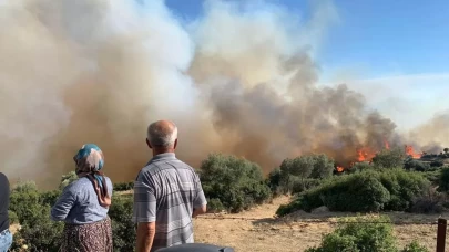 Aydın Bozdoğan'da çıkan orman yangını kontrol altına alındı