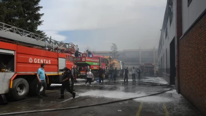 Bolu'da orman ürünleri işleme fabrikasında yangın!