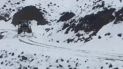 Batman'da 7 köy ve mezra yolu kar yağışı nedeniyle kapandı