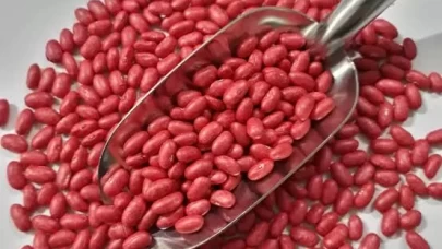 Trabzon’da üreticilere fasulye tohumu desteği