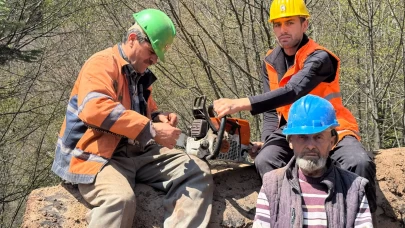 Bartın'ın orman işçileri engel tanımadan çalışıyor