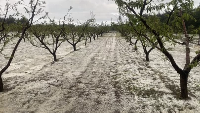Dolu, meyve bahçelerini vurdu!