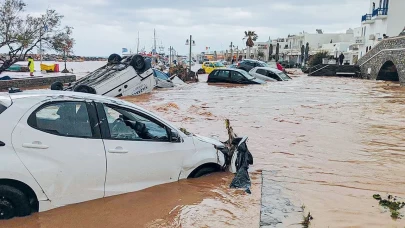 Avustralya'da sel: 100 binden fazla çiftlik hayvanı kayboldu!
