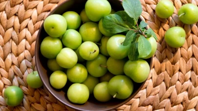 Bebeklere erik kaç aylıkken verilir?