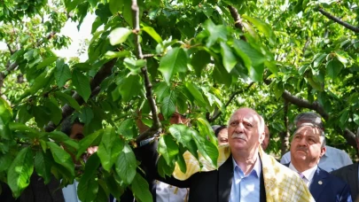 TZOB Başkanı Bayraktar, zira dondan etkilenen bahçeleri inceledi