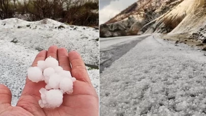 Ceviz büyüklüğünde yağdı, meyve ağaçları zarar gördü