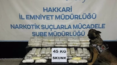 Hakkari'de tır dorsesinde 45 kg skunk bulundu