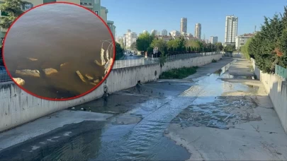 İzmir'deki çöp kokusu vatandaşı isyan ettirdi!