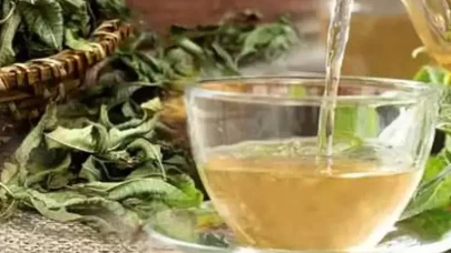 Melisa çayının faydaları neler? İşte rahatlatan demleme yöntemleri