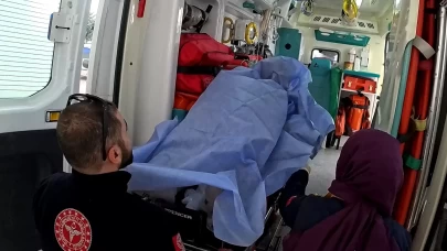 Balıkesir'de ayının saldırısına uğrayan şahıs yaralandı