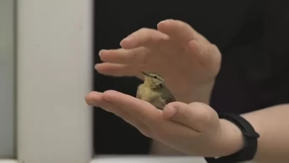 EYMİR KUŞ HALKALAMA İSTASYONU GÖÇ VERİLERİ SAĞLIYOR