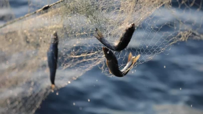 Su ürünleri av sezonu sona eriyor