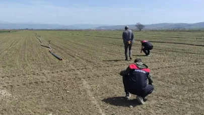 Çiftçi endişeli! İl Tarım Müdürlüğü sahada tespit yapıyor