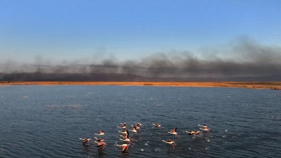 Kayseri'deki Sultan Sazlığı Milli Parkı'nda yangın çıktı
