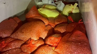 Kaçak midye avına 37 bin lira ceza