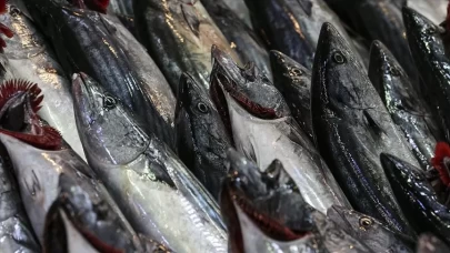 Selenyum ve D vitamini zengini palamut balığının faydaları