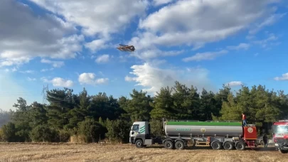 Orman yangınına neden olan 2 kardeşe 4 milyon 600 bin lira ceza