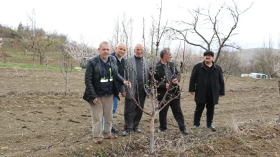 Erzincan'da zorlu kış yaban hayvanlarını aç bıraktı