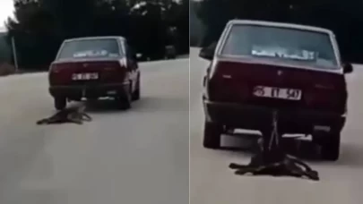 Burdur'da köpeği araca bağlayarak sürükleyen sürücü tutuklandı!