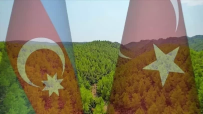Türkiye'den gönderilen fidanlar Azerbaycan'da yeşerecek