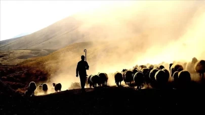 Erzincan'da besiciler, çoban bulmakta güçlük çekiyor!