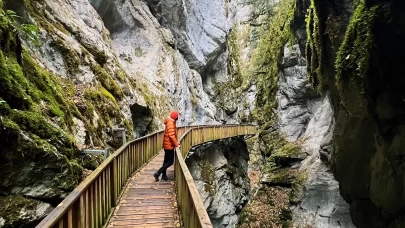 DOĞADA ZİNDE KALIN