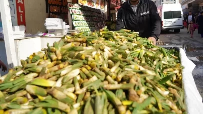 Muş’tan Türkiye’ye şifa yolculuğu! Çiriş otu, doğadan tezgahlara indi