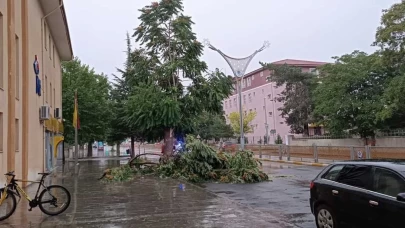 Erzincan'da fırtına: Çatılar uçtu, elektrik direkleri zarar gördü