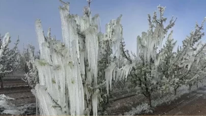 Zirai don olaylarını inceleyecek Meclis Araştırma Komisyonu kuruldu