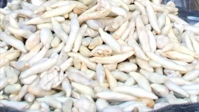 Kenger sakızı nasıl yapılır, ne işe yarar?