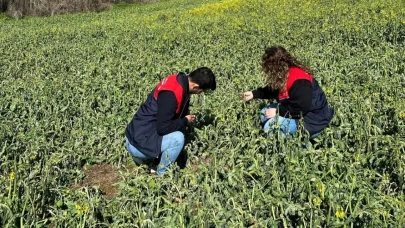 Zirai don olayından etkilenen alanlarda hasar tespit çalışmaları başladı