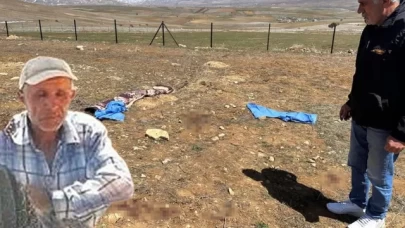 Kayseri'de çoban köpeklerinin saldırdığı Mustafa Özberk, hayatını kaybetti