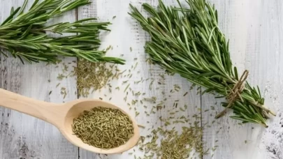 Biberiye: Sağlık İçin Bilinmeyen Faydaları ve Olası Zararları