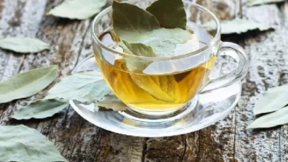 Defne yaprağı çayı hangi hastalıklara iyi geliyor?