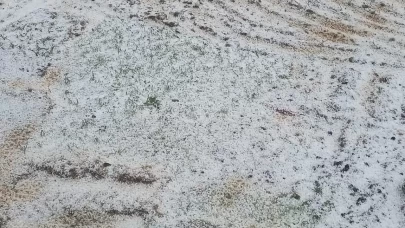 Adana'da dolu yağışı tarım arazilerini beyaza bürüdü