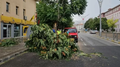 Güneydoğu Anadolu'da için kuvvetli rüzgar ve fırtına bekleniyor