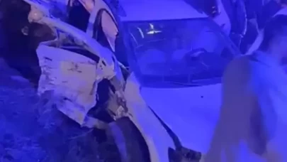 Domuza çarptı! Feci olayda 1 kişi hayatını kaybetti 6 kişi yaralı