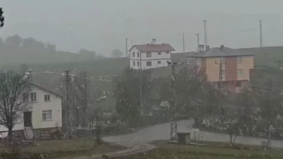 Sivas'ta Nisan ayında kar yağdı